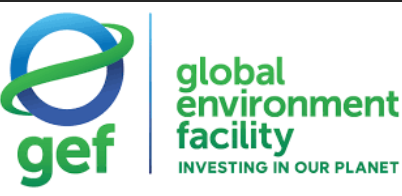 International Climate Facility